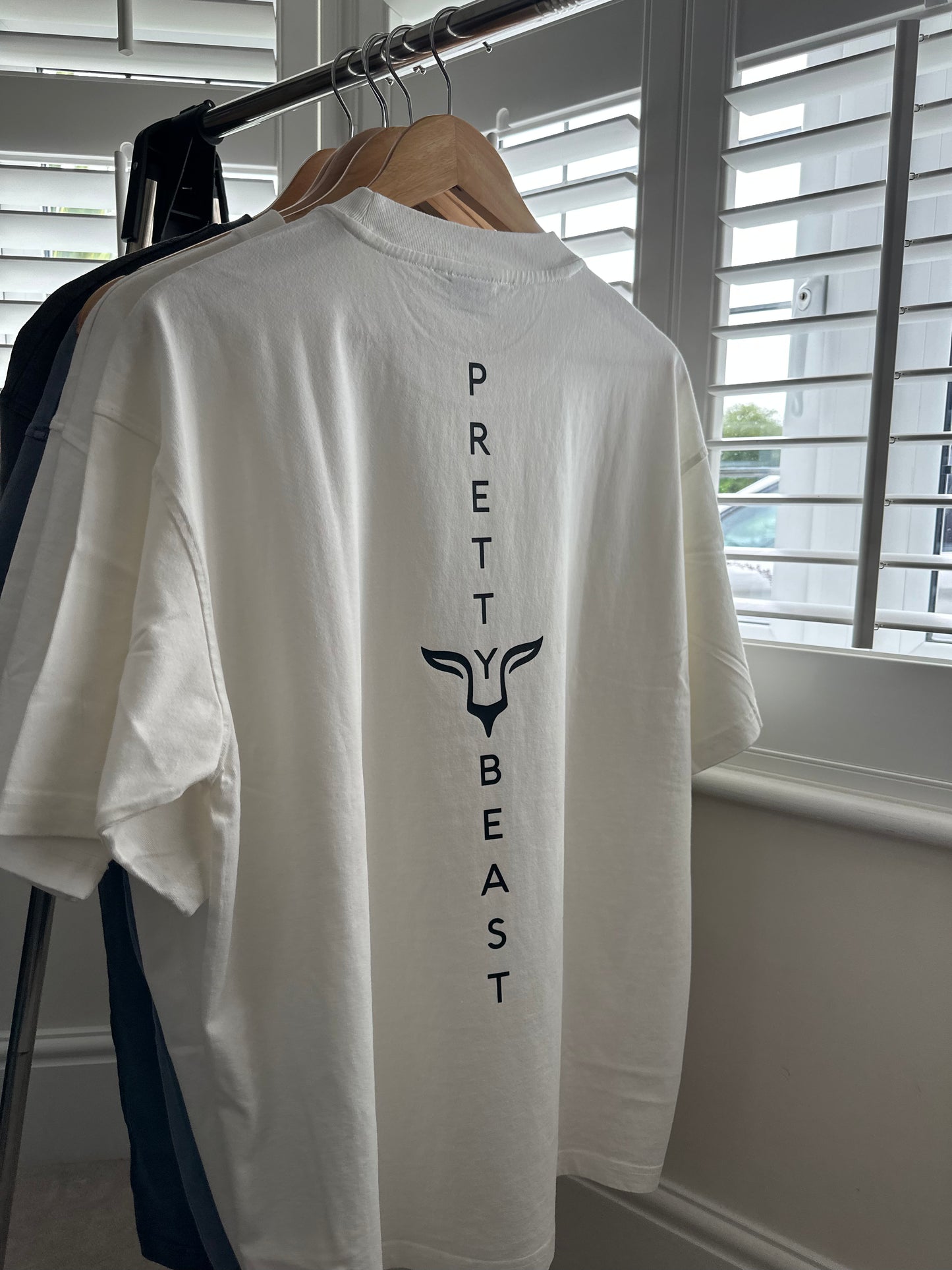 PB Vertical Logo